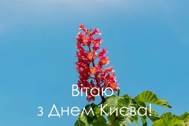 День Києва 2024 День Києва 2024