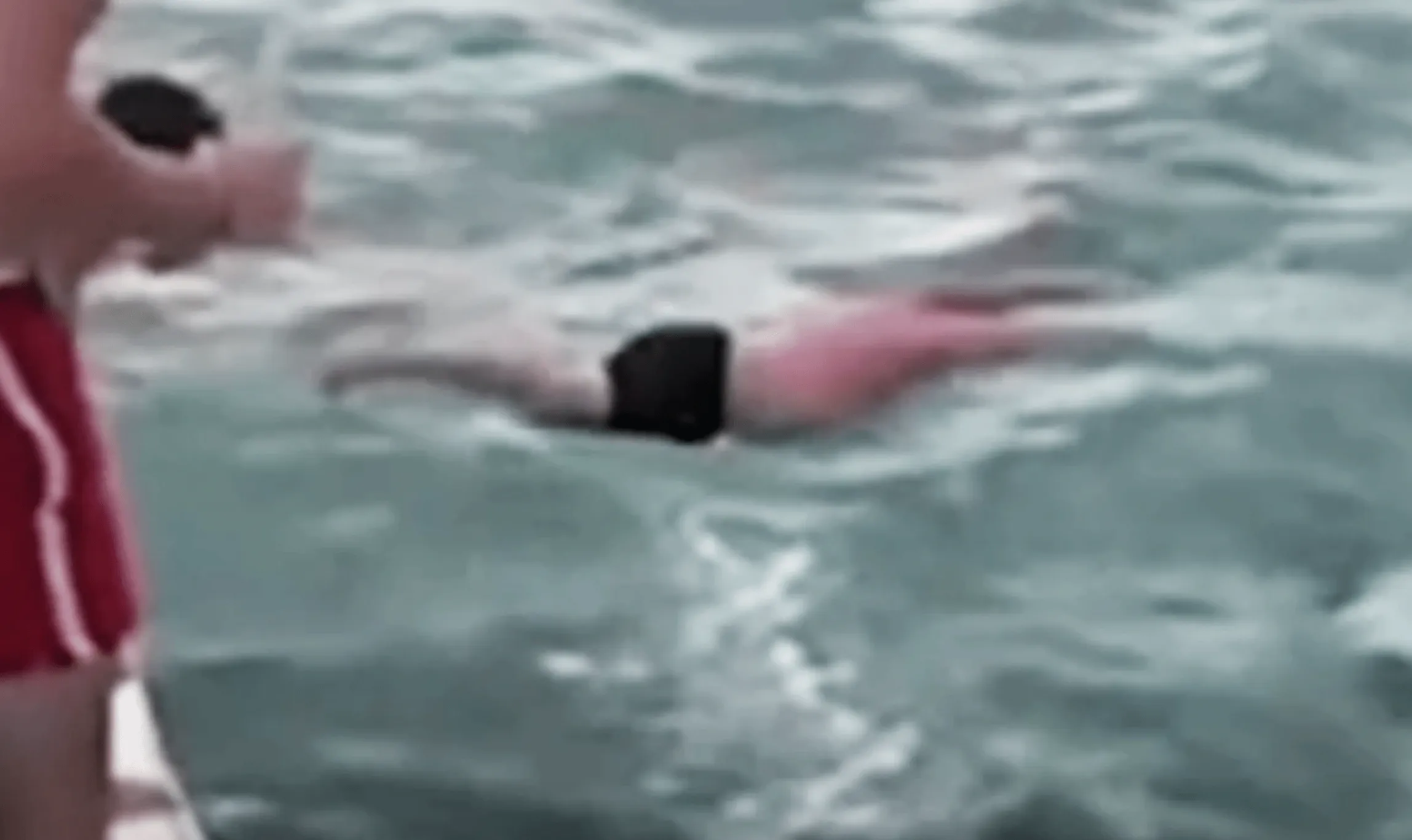Мужчина прыгал с лодки в надежде прикоснуться к киту