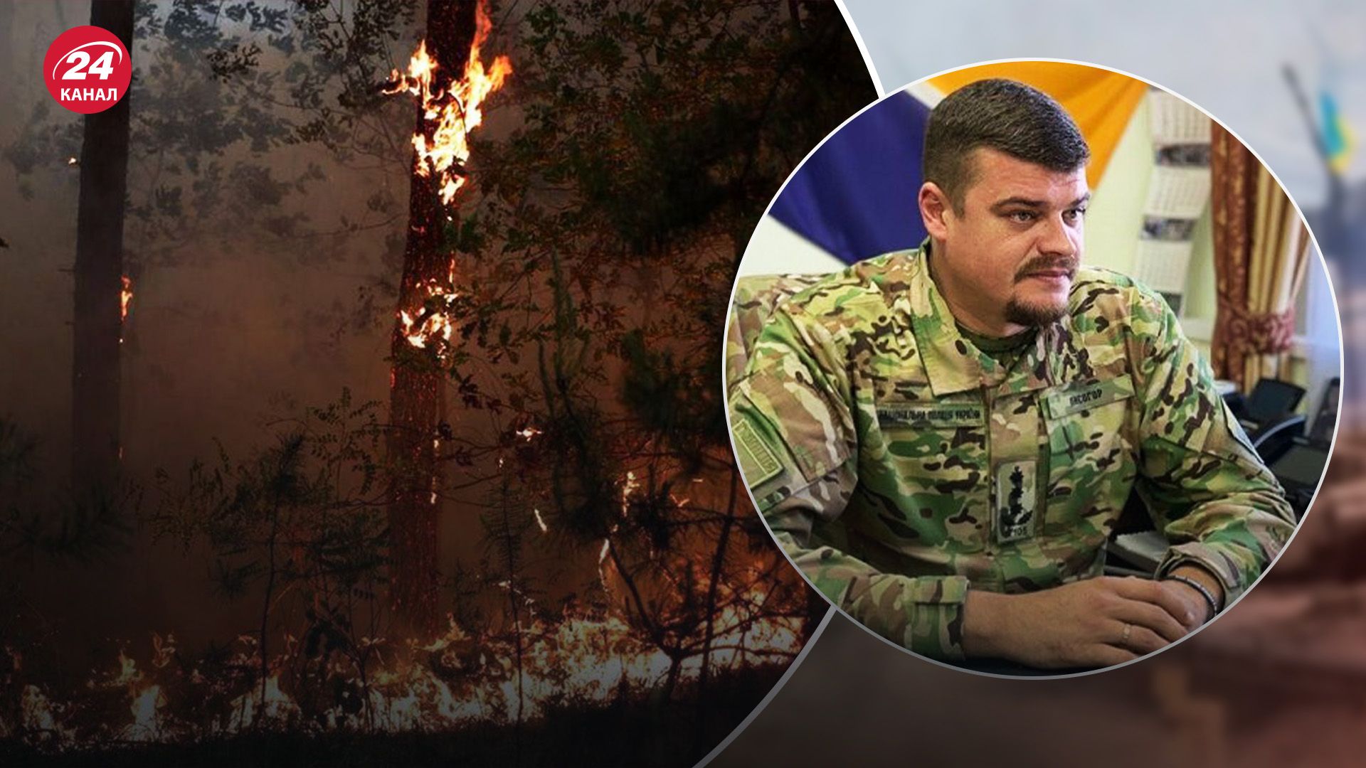 Поблизу Станиці Луганської горить понад 100 гектарів лісу Поблизу Станиці Луганської горить понад 100 гектарів лісу