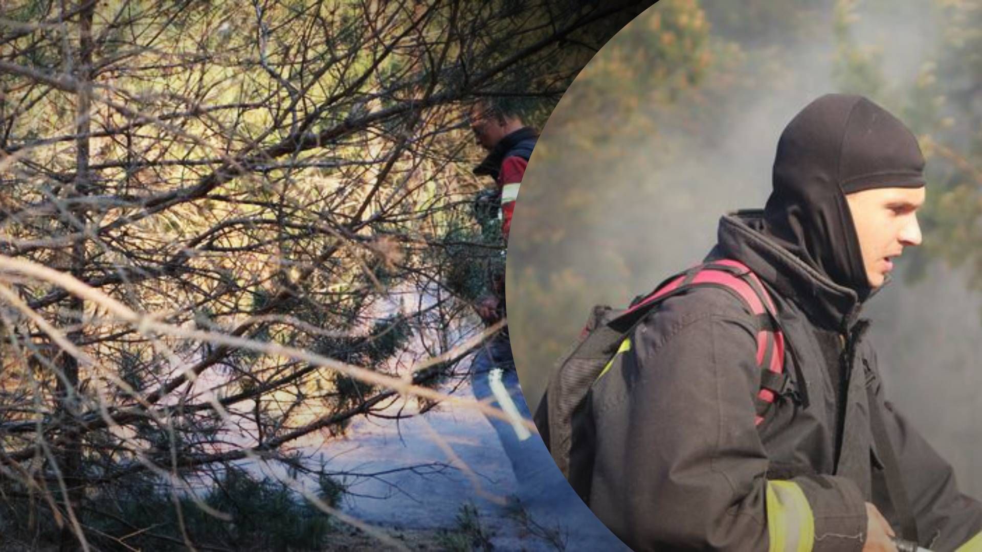 У Вишгородському районі на Київщині локалізовано пожежу в природній екосистемі, триває ліквідаці - 24 Канал У Вишгородському районі на Київщині локалізовано пожежу в природній екосистемі, триває ліквідаці - 24 Канал