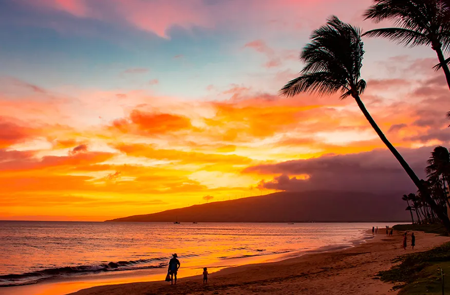 Острів Мауї Острів Мауї