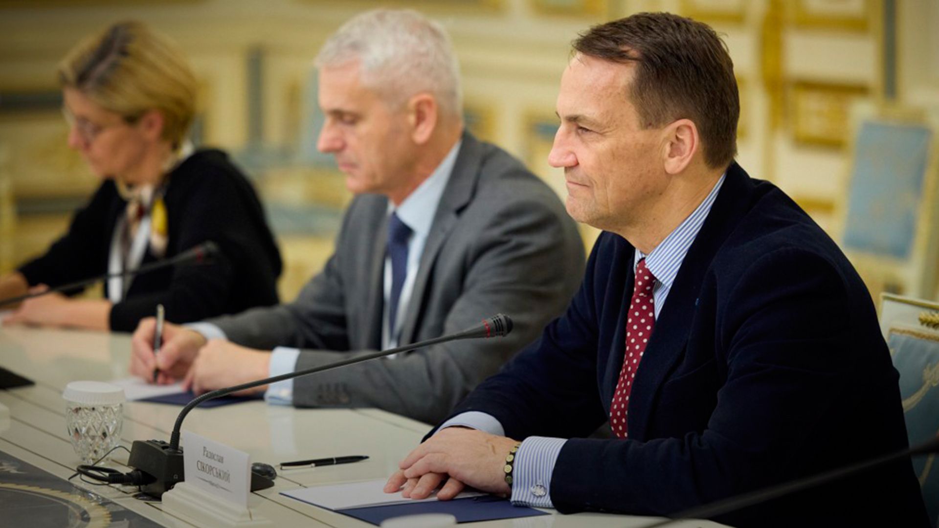 Сікорський зробив важливу заяву про пільги для українців Сікорський зробив важливу заяву про пільги для українців