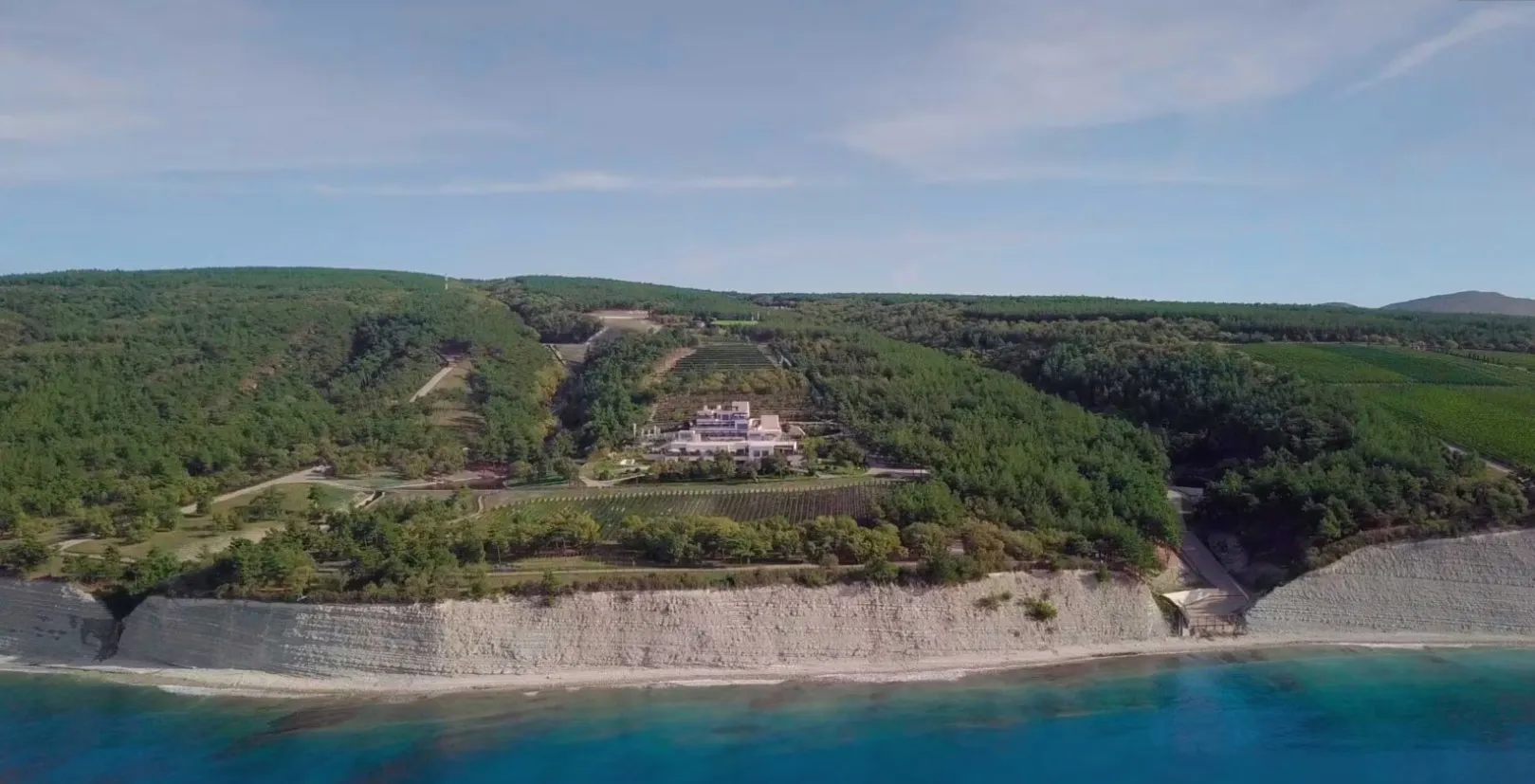 Виноградники Путіна Виноградники Путіна