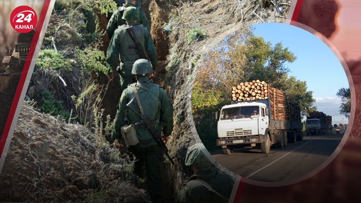 Росія вирубує ліси у Донецькій області 