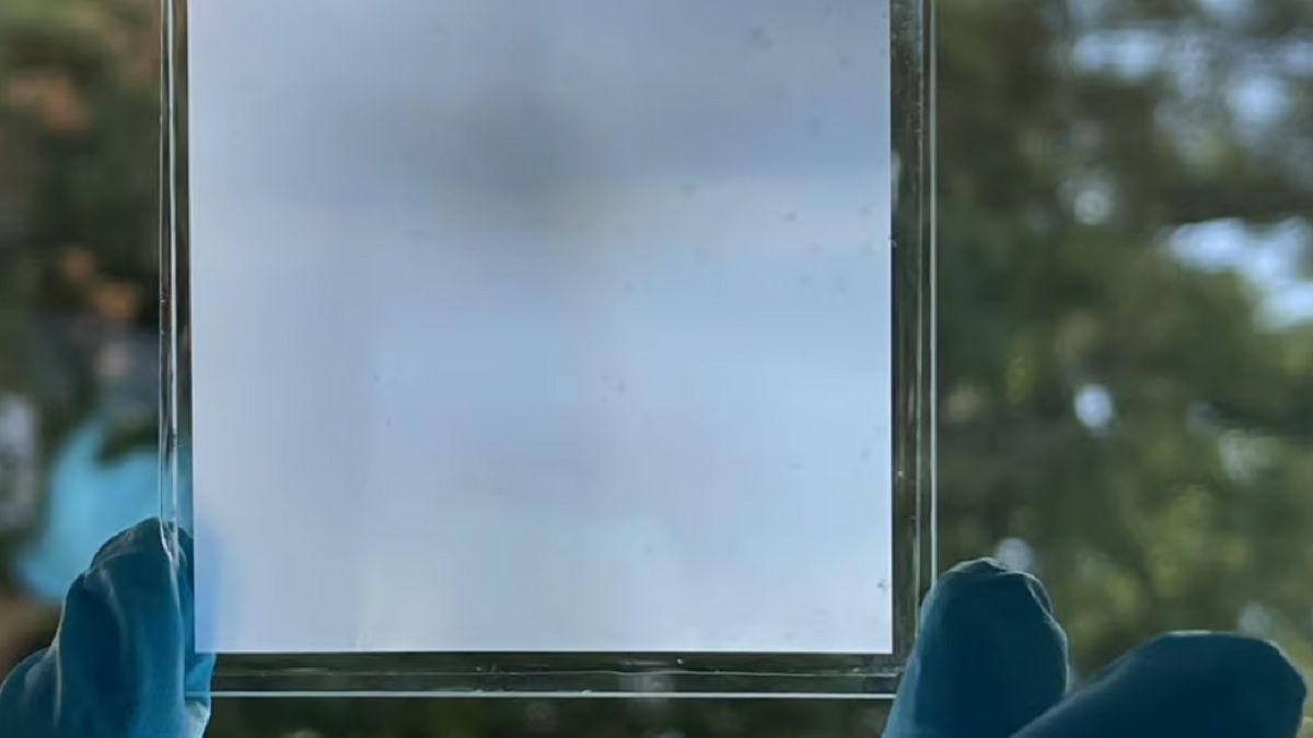 Образец нового метаматериала Образец нового метаматериала