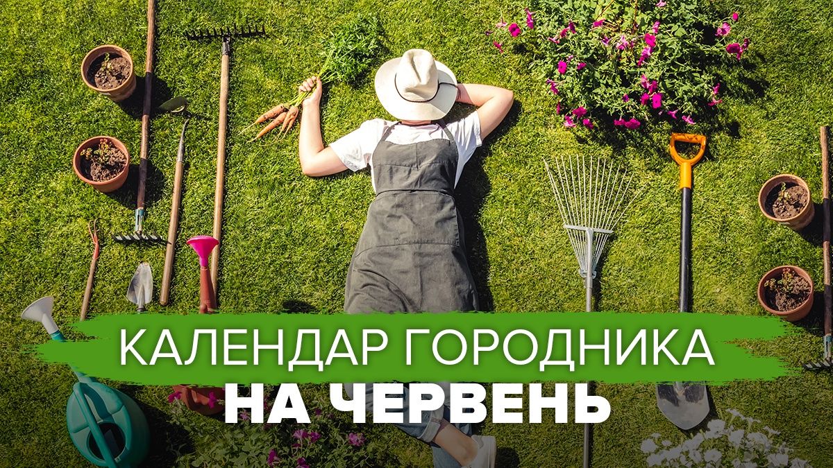 Календар городника на червень 2024