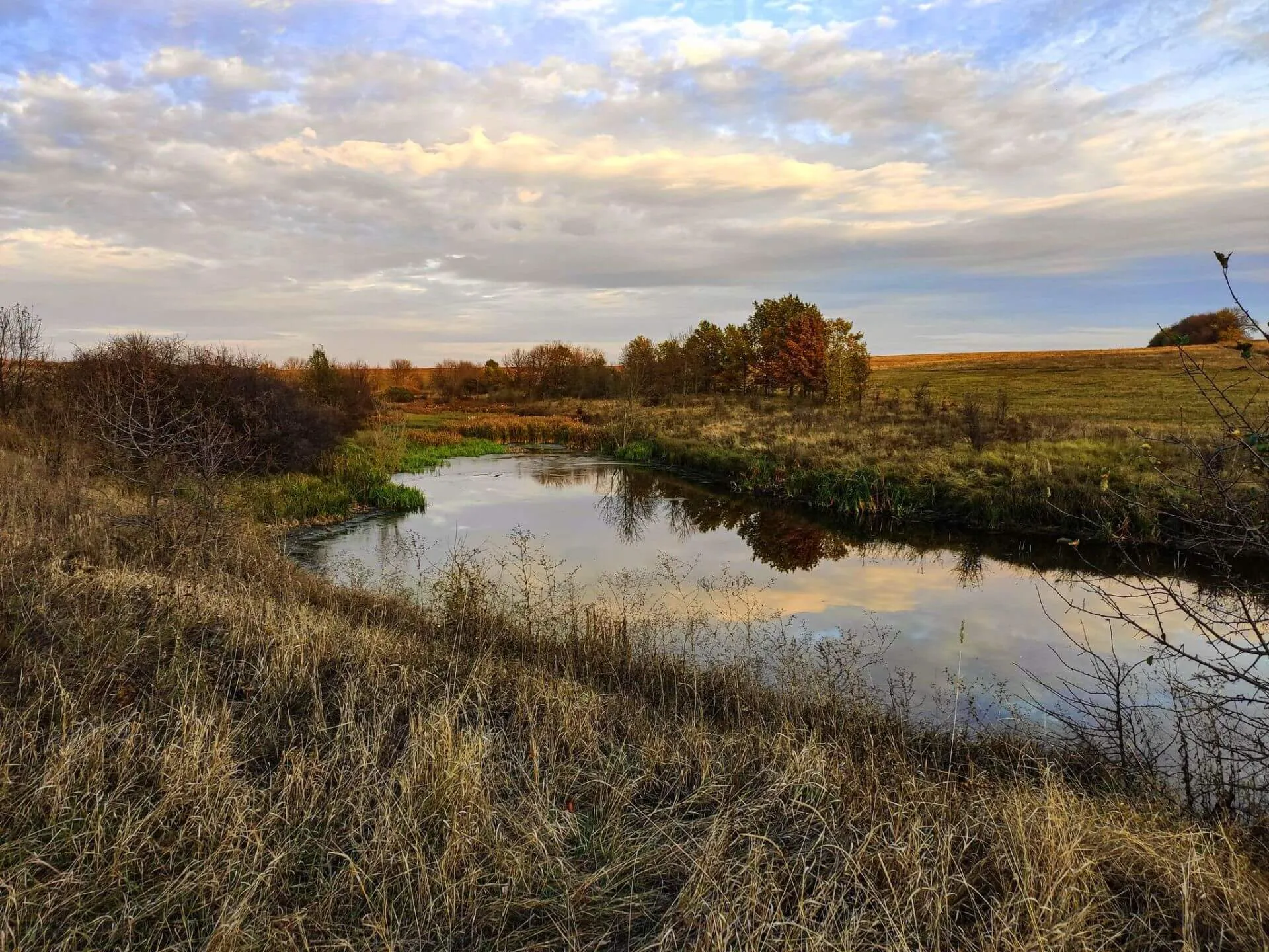 Михайловская целина Михайловская целина