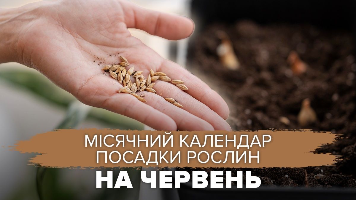 Місячний календар посадки рослин