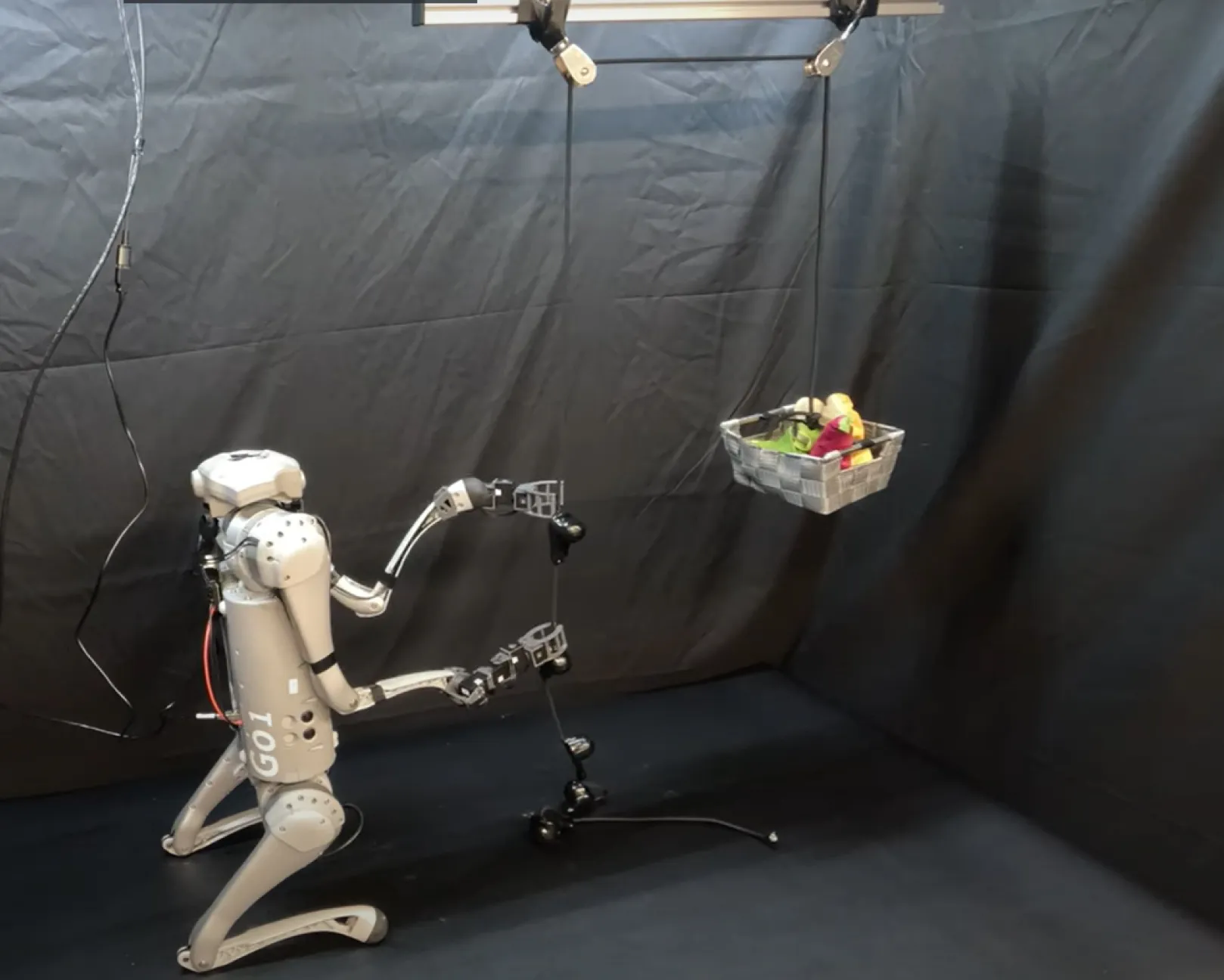 Робот LocoMan Робот LocoMan