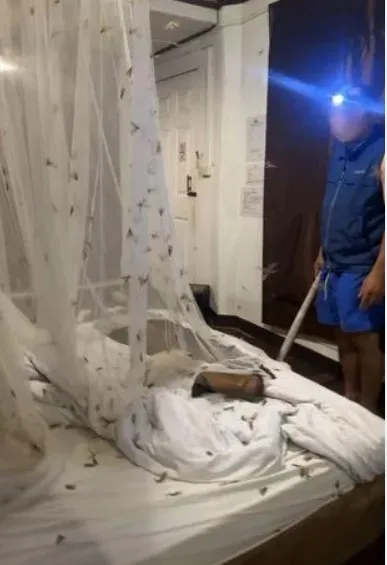 Готельний номер "з сюрпризом" Готельний номер "з сюрпризом"