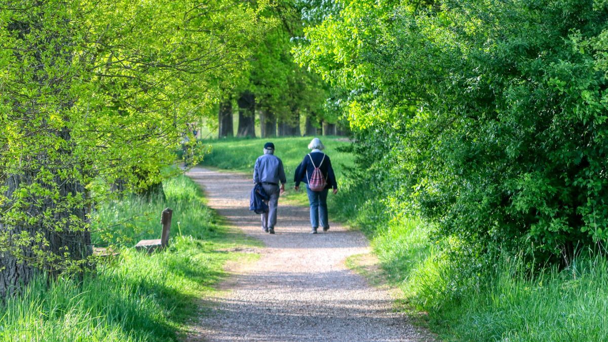 Перерахунок пенсій в Україні Перерахунок пенсій в Україні