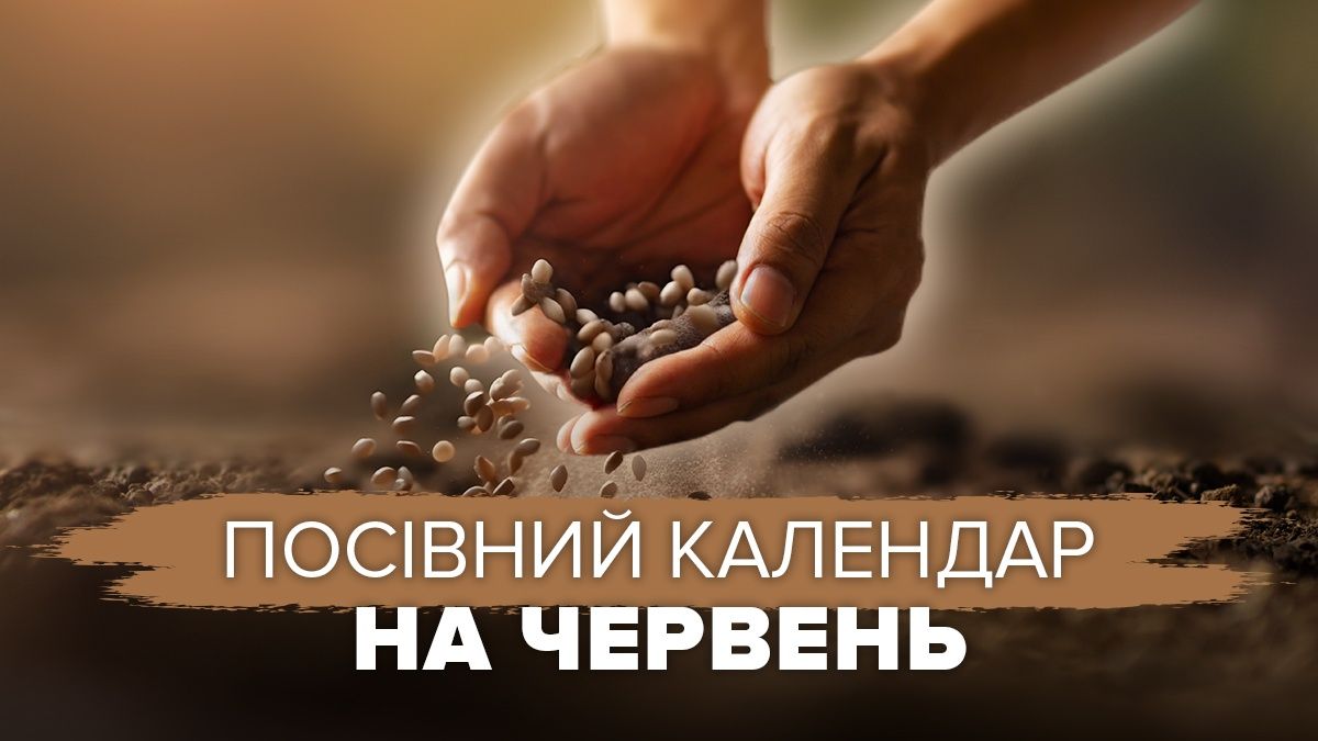 Посівний календар на червень