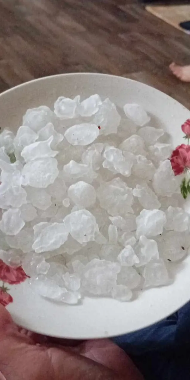 Град на Закарпатье Град на Закарпатье