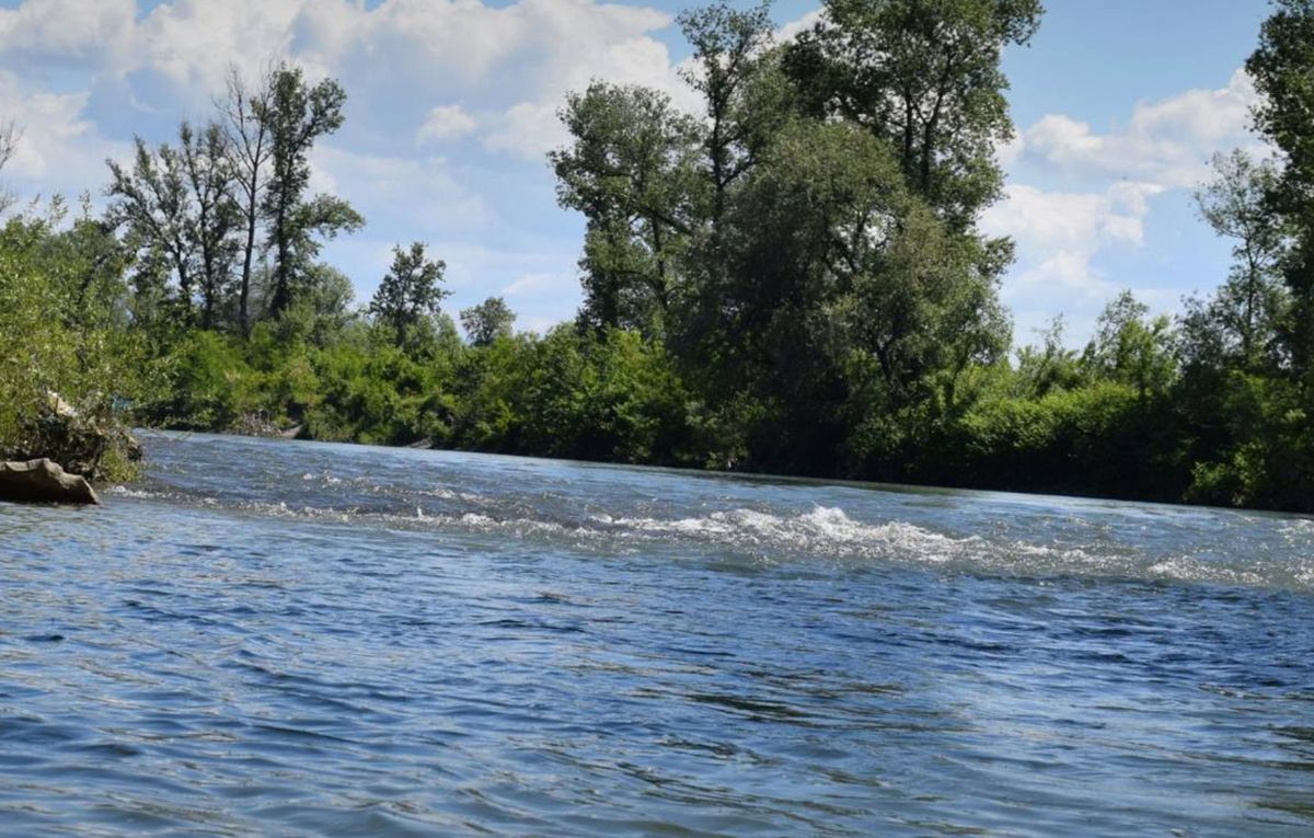 Мобілізація в Україні - в Сухопутних силах заявили, що в Тисі простіше загинути, ніж у ЗСУ- 24 Канал Мобілізація в Україні - в Сухопутних силах заявили, що в Тисі простіше загинути, ніж у ЗСУ- 24 Канал