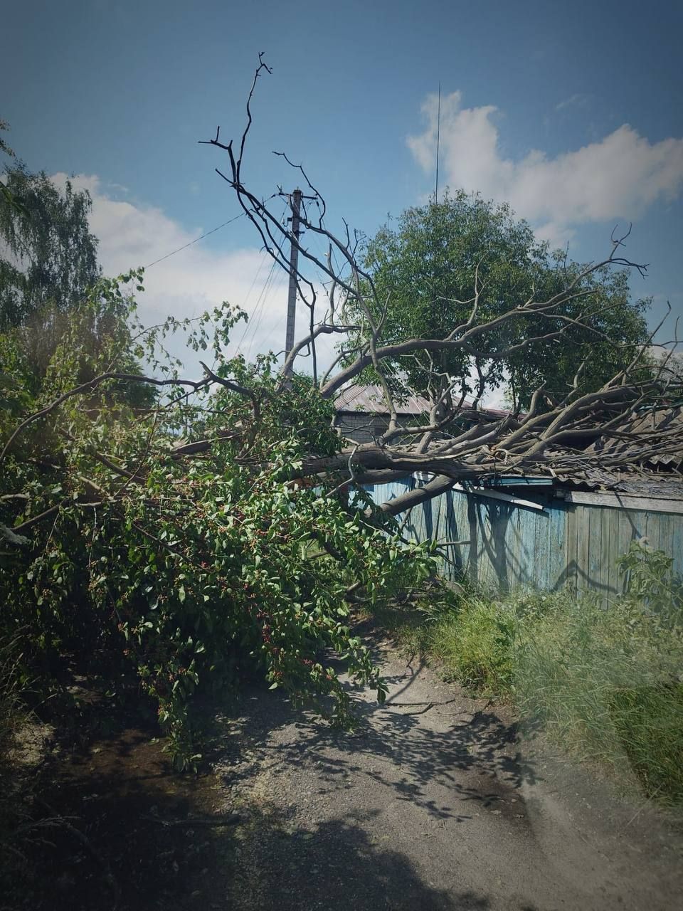 У вихідні дні Київська область постраждала від негоди