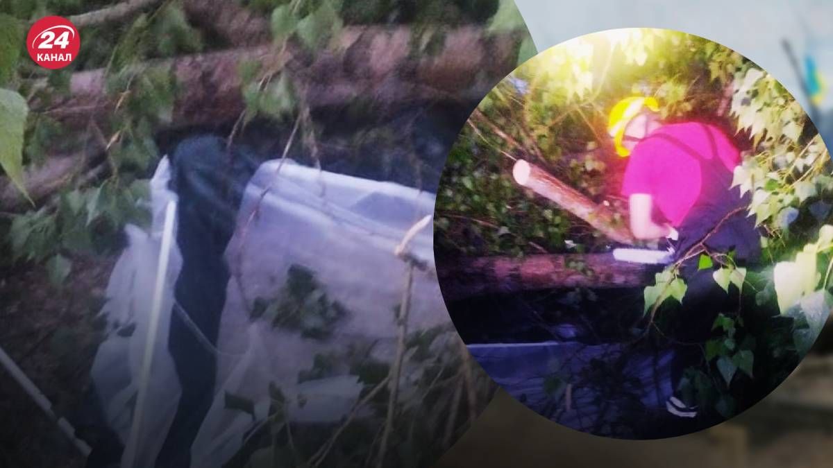 У Києві на вихідних під час грози неодноразово падали дерева У Києві на вихідних під час грози неодноразово падали дерева