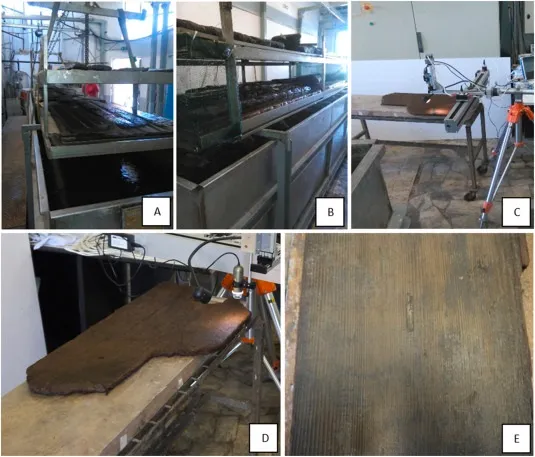 Деревина знайдена поблизу Помпей Деревина знайдена поблизу Помпей