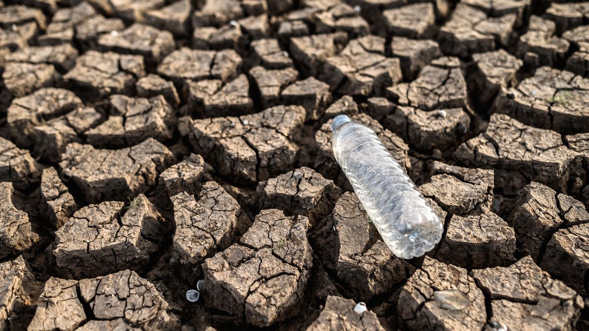 Прогнозируется, что нехватка воды повлияет на 66% населения мира к 2100 году