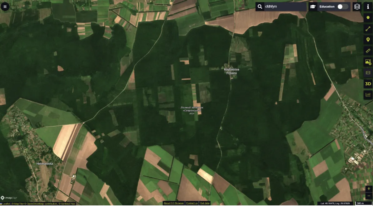 вирубка лісів вирубка лісів