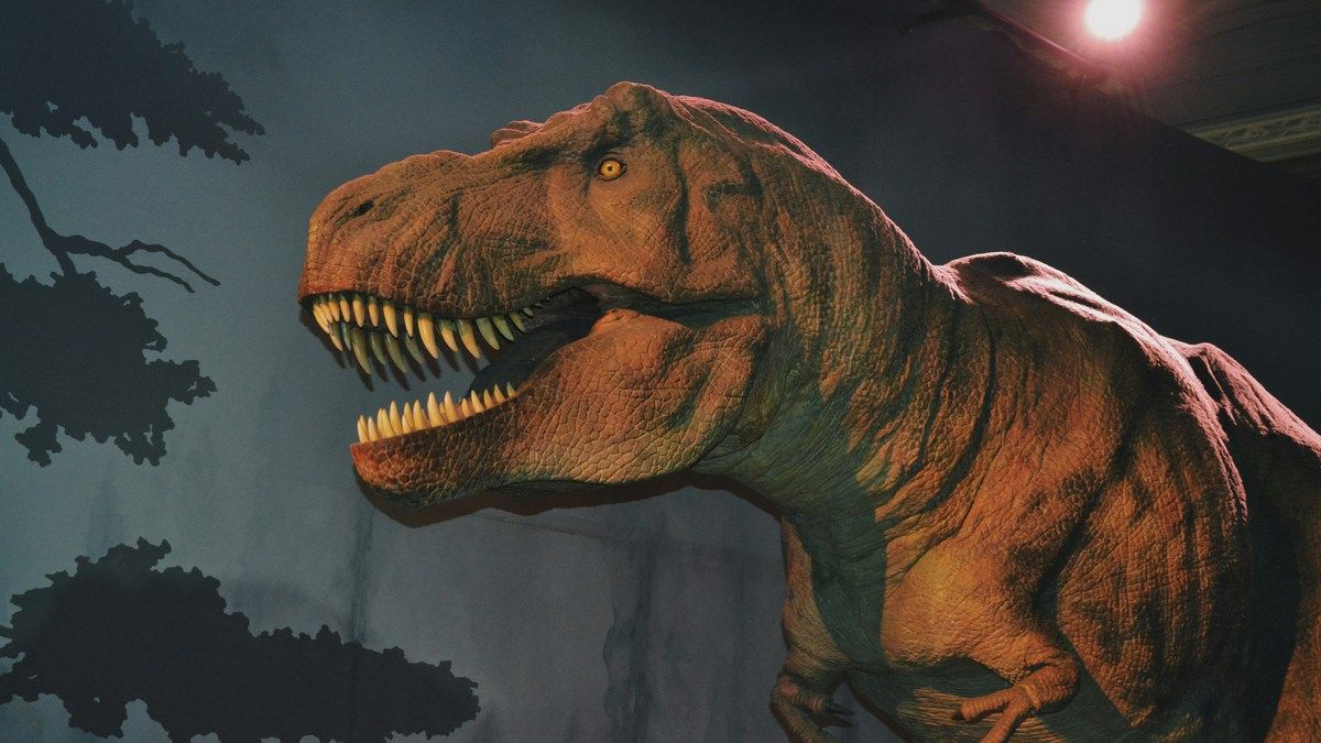 Редкая находка тираннозавра-подростка раскроет тайны их роста