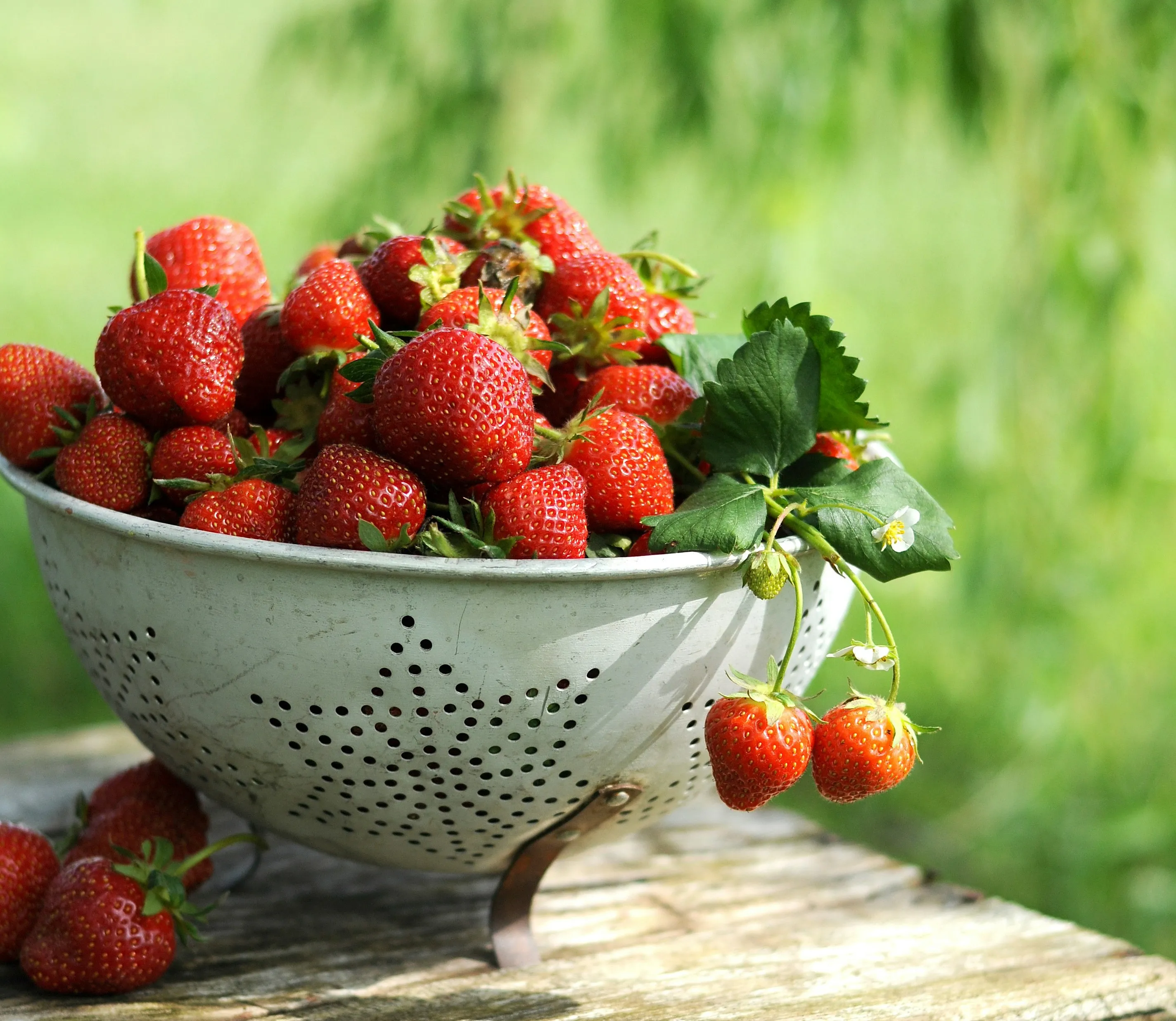 Як заморозити полуницю Як заморозити полуницю