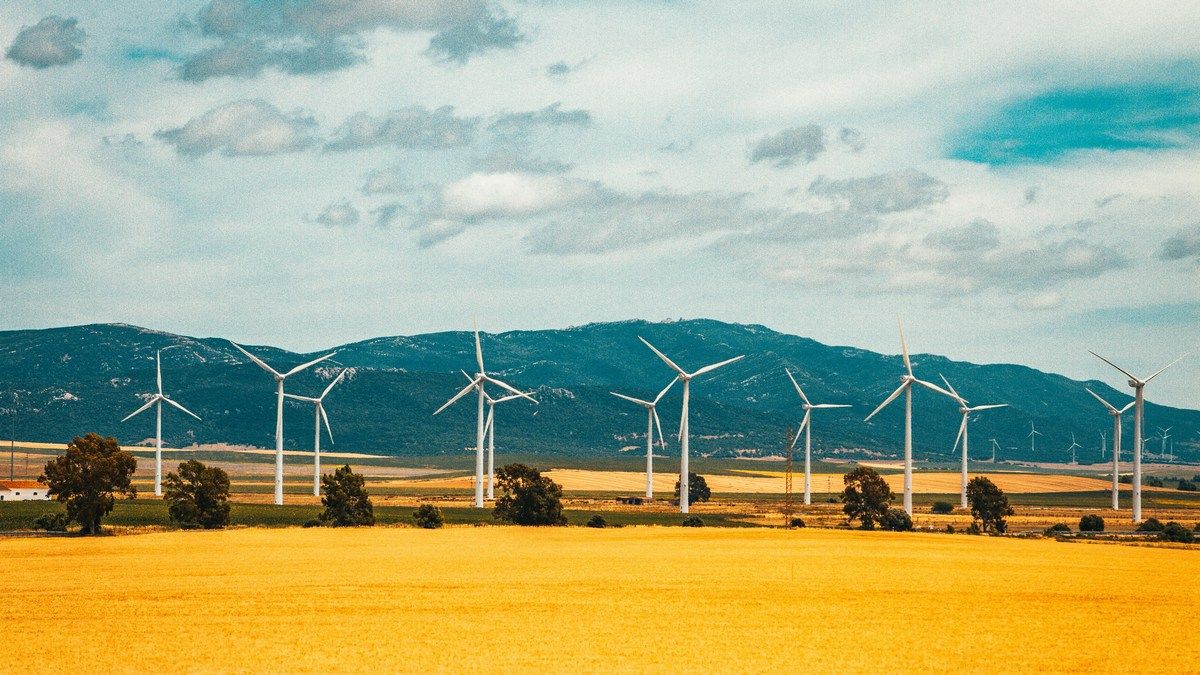 Хороші новини про екологію також існують попри загальне погіршення ситуації Хороші новини про екологію також існують попри загальне погіршення ситуації