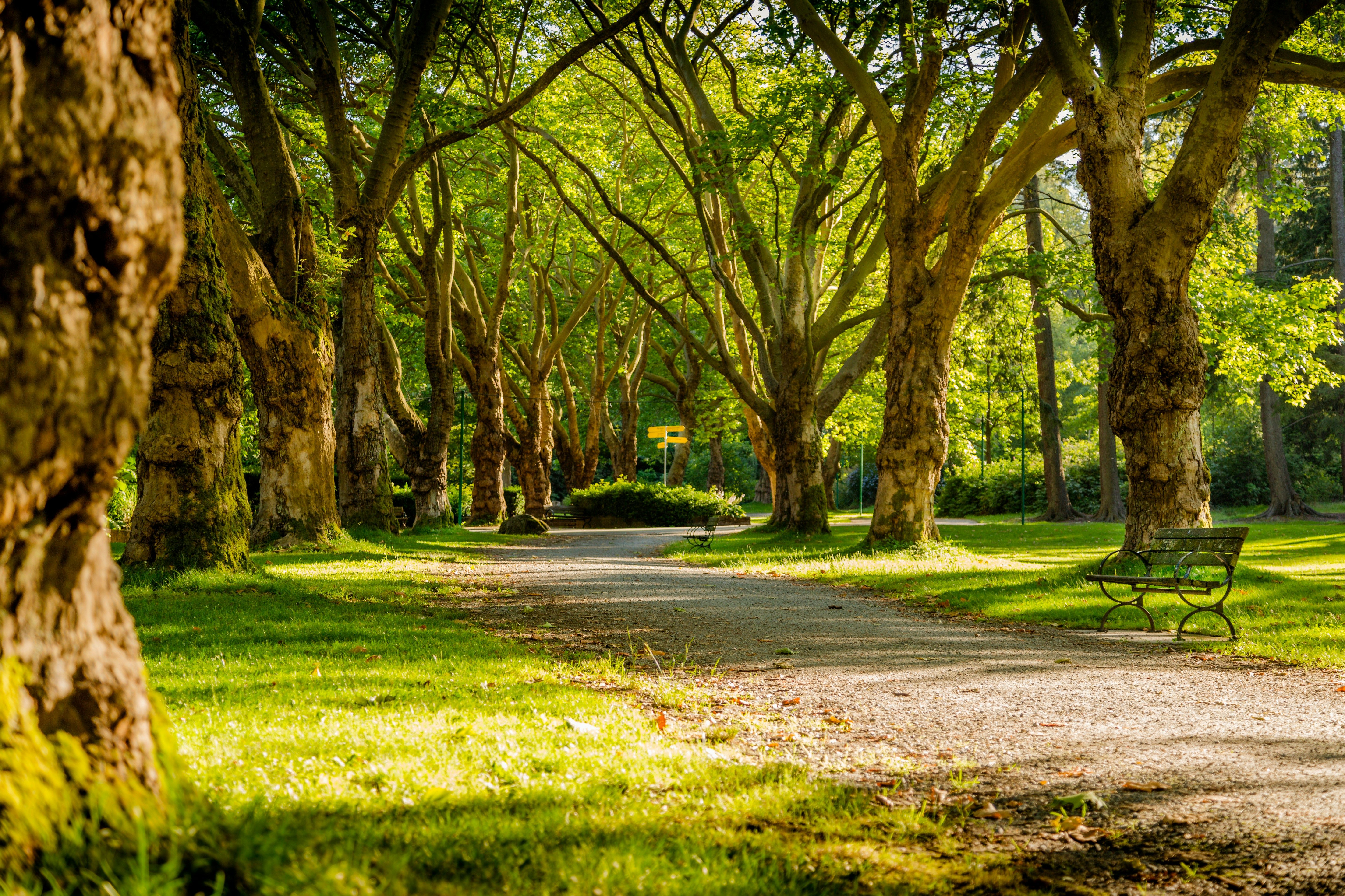 Где погулять во Львове – подборка парков, куда можно убежать от городской суеты