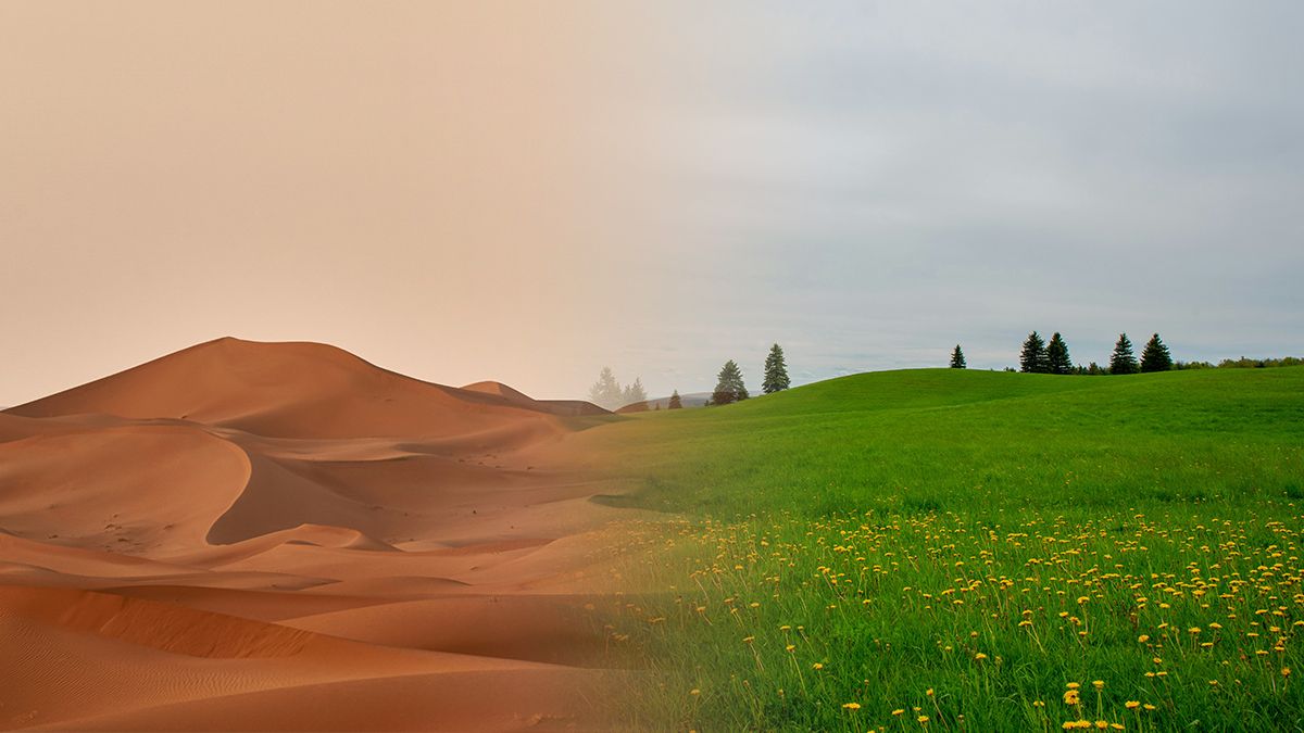 Наскальные рисунки, найденные в Судане, изображают зеленую Сахару Наскальные рисунки, найденные в Судане, изображают зеленую Сахару