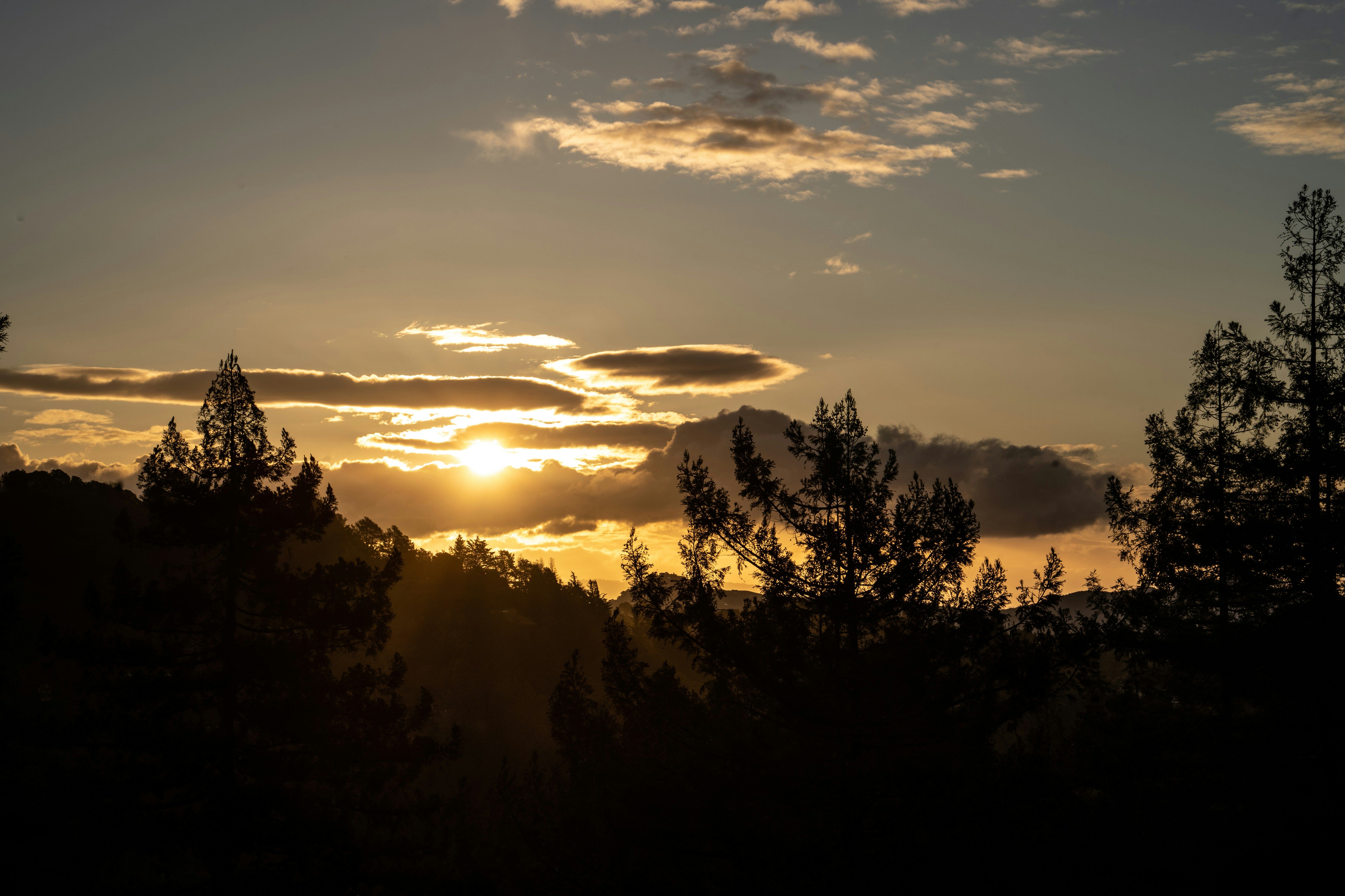 Погода в Украине на 9 июня 2024 года Погода в Украине на 9 июня 2024 года