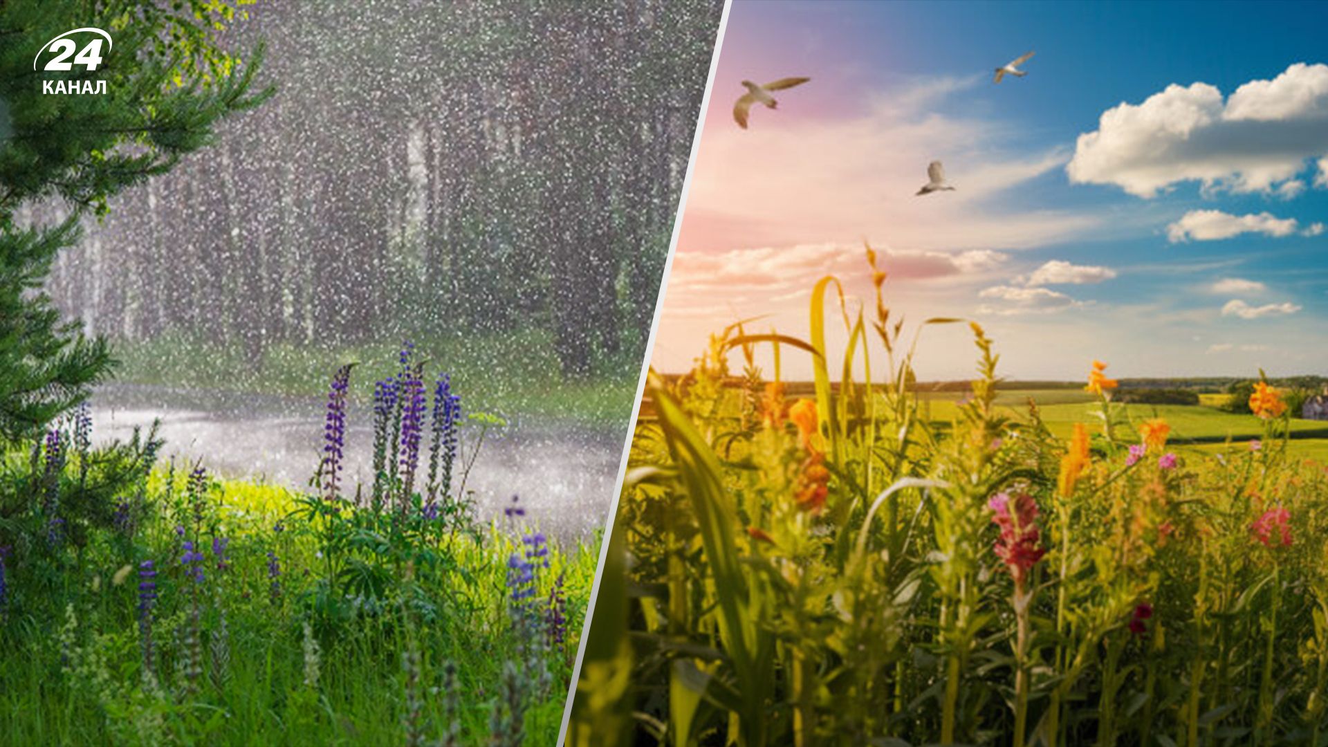 Прогноз погоди в Україні 10 червня Прогноз погоди в Україні 10 червня