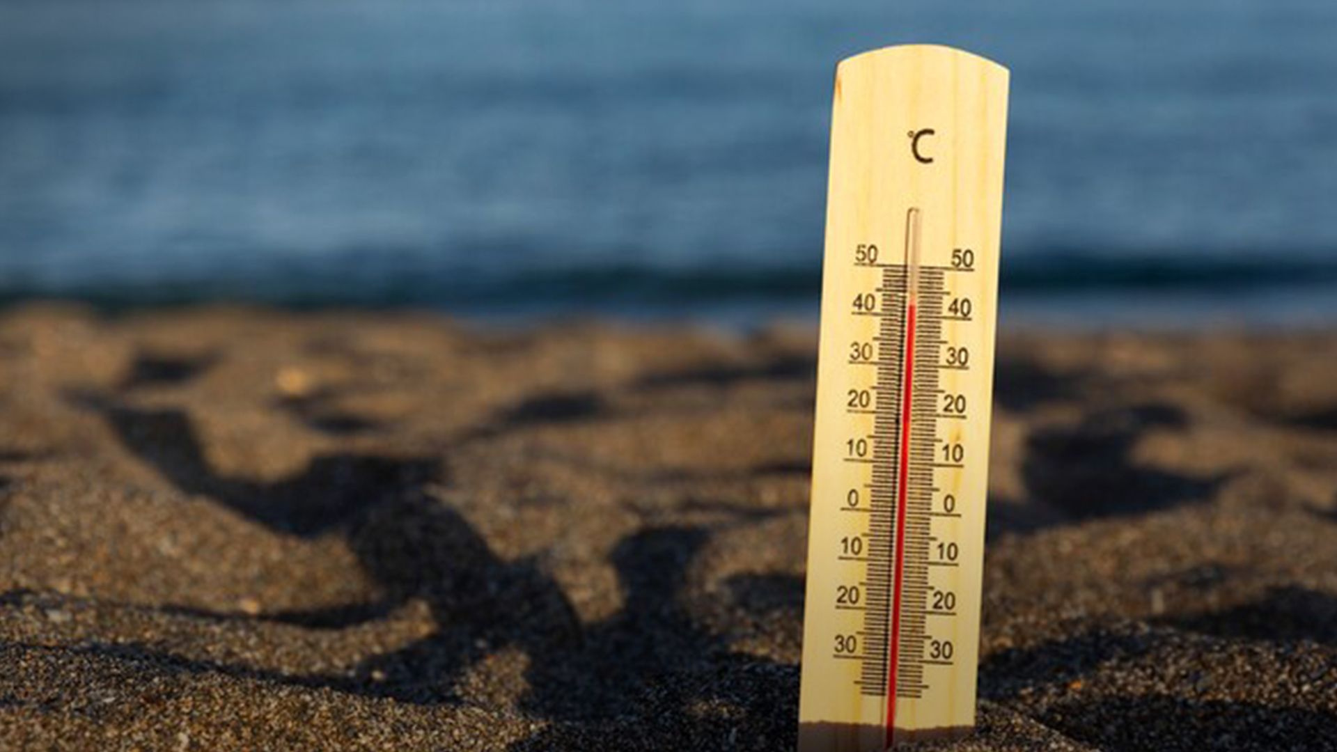 Спека Спека