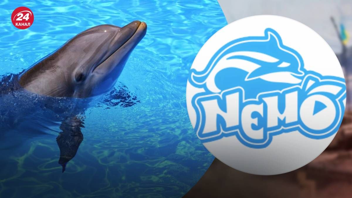 Сеть дельфинариев Немо вероятно не пренебрегает работать с Россией, несмотря на полномасштабное вторжение Сеть дельфинариев Немо вероятно не пренебрегает работать с Россией, несмотря на полномасштабное вторжение