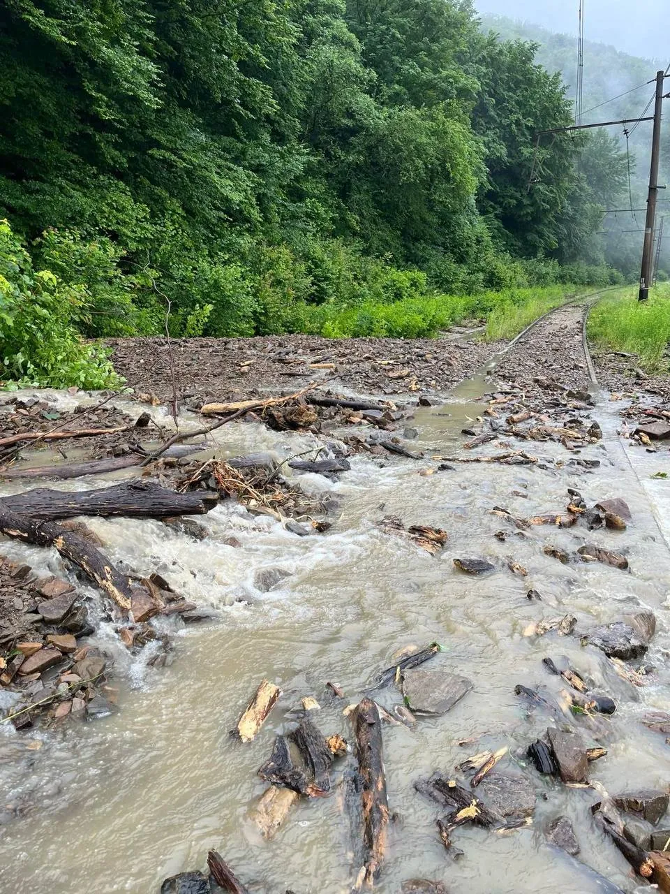 Селевой поток затопил колею между Львовом и Ужгородом Селевой поток затопил колею между Львовом и Ужгородом