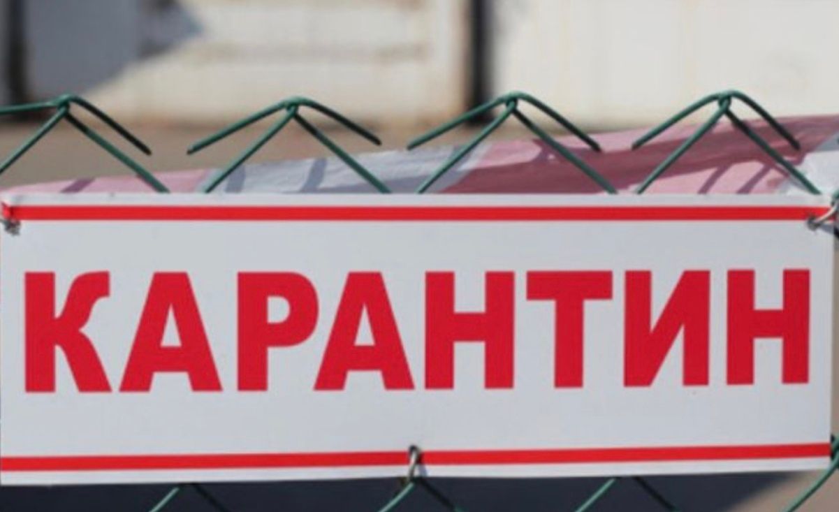 У Волинській області ціле село закрили на карантин через сказ