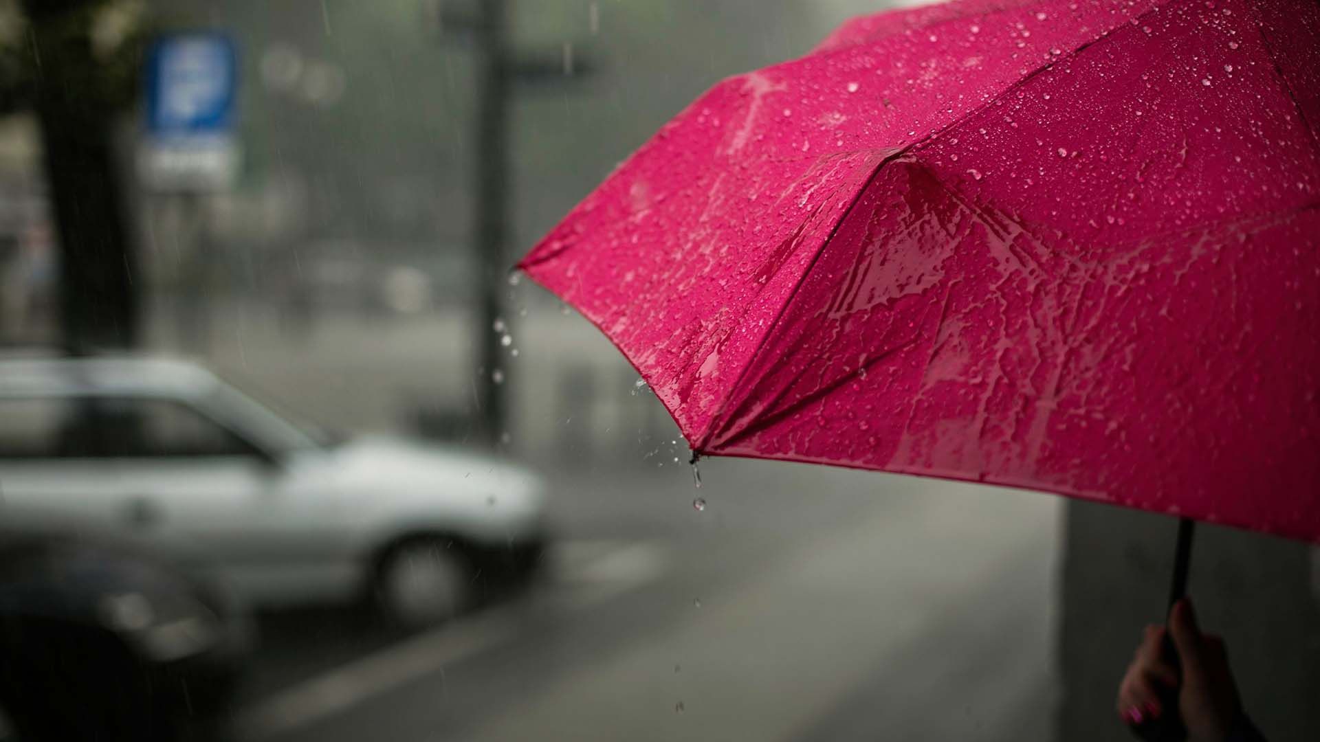 Прогноз погоди на 12 червня Прогноз погоди на 12 червня