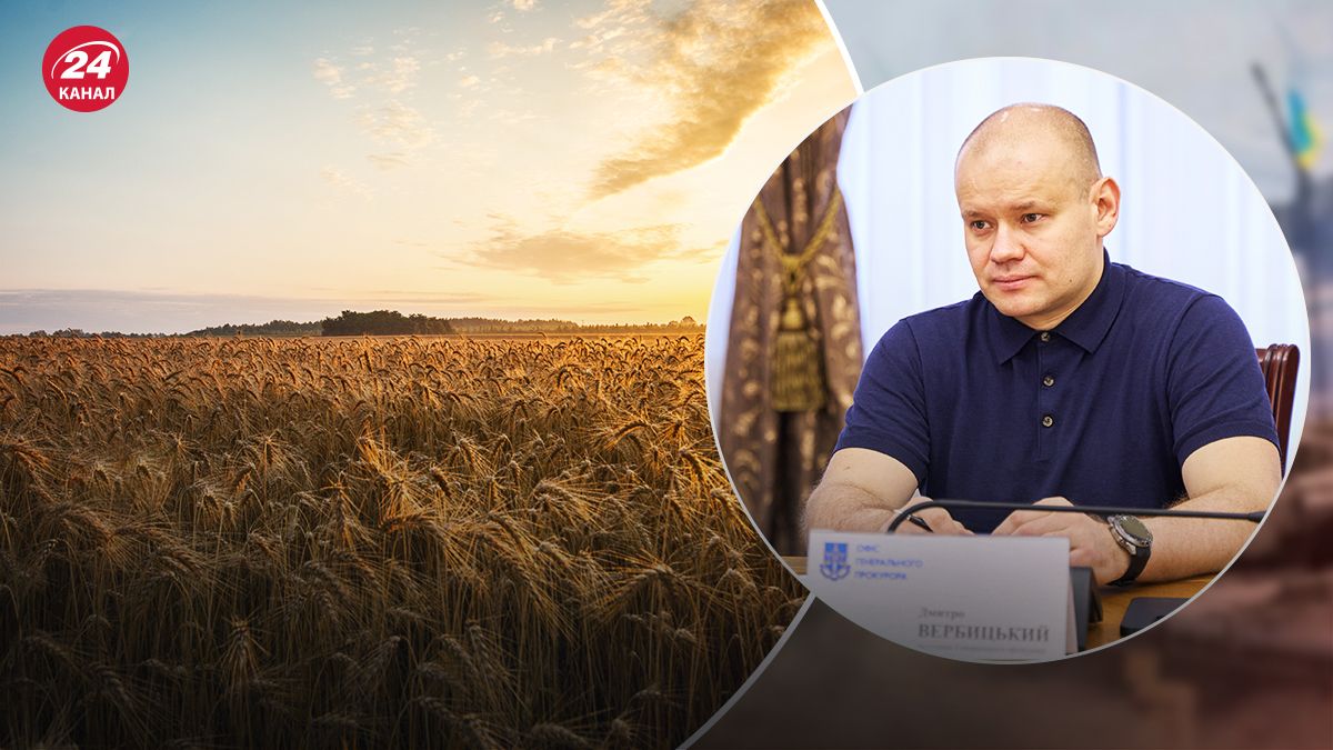 Україна щороку втрачає мільярди на чорному експорті зерна, – замгенпрокурора Вербицький - 24 Канал