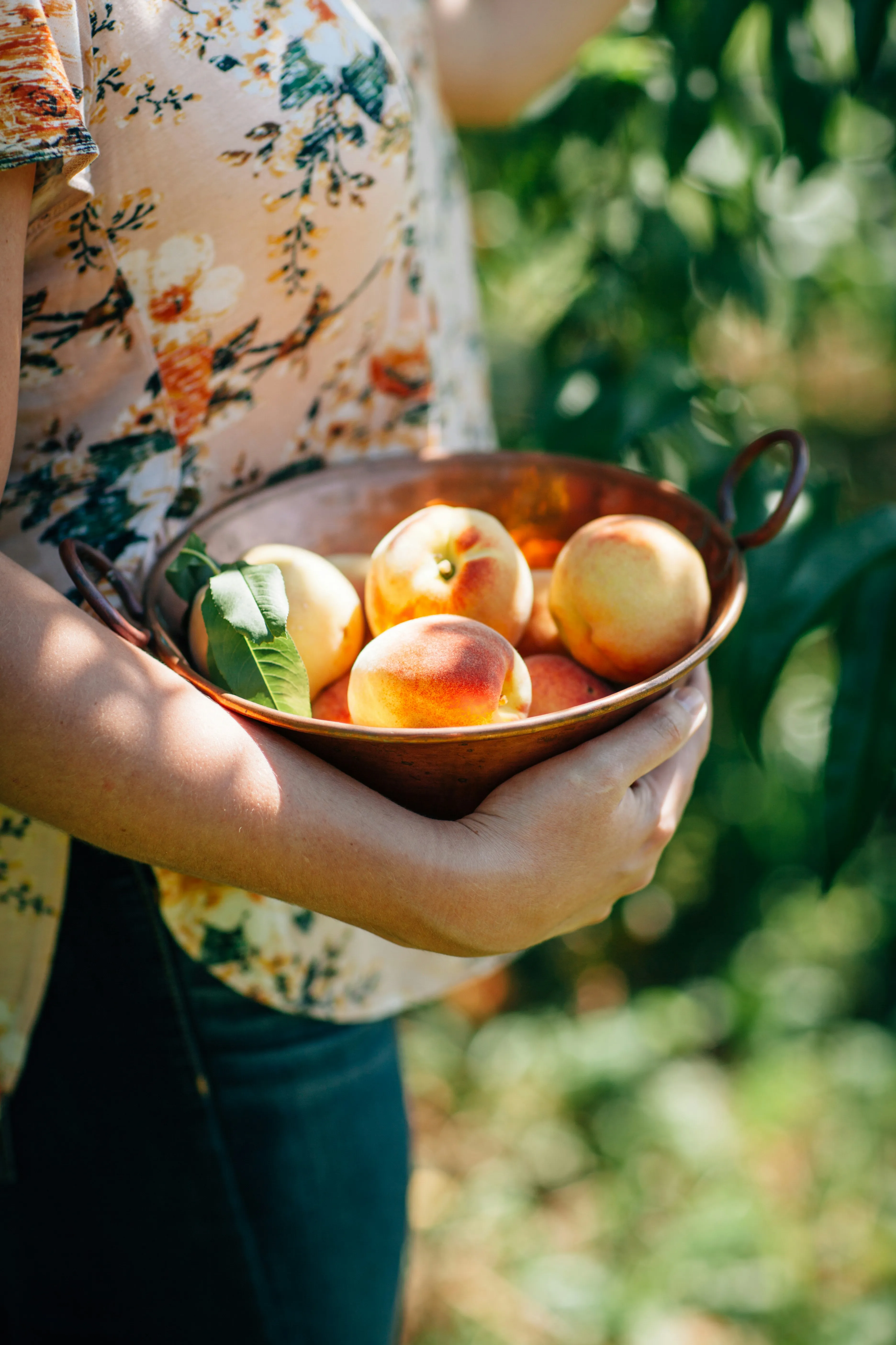 Це треба знати всім: чим корисні та скільки персиків на день можна з'їсти без шкоди для здоров'я
