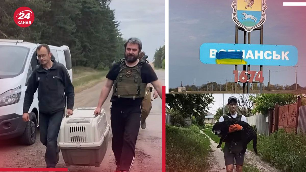 Вивозили навіть вовка: як волонтери рятують тварин від війни на Харківщині - 24 Канал