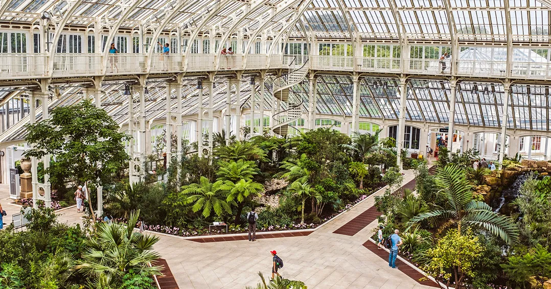 Сад К'ю у Лондоні Сад К'ю у Лондоні