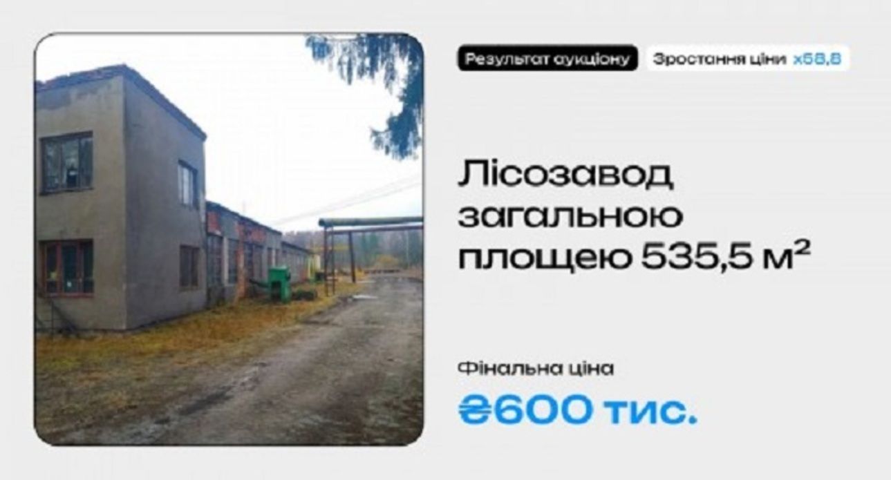 Аукцион повысил цену лесозавода в 60 раз Аукцион повысил цену лесозавода в 60 раз