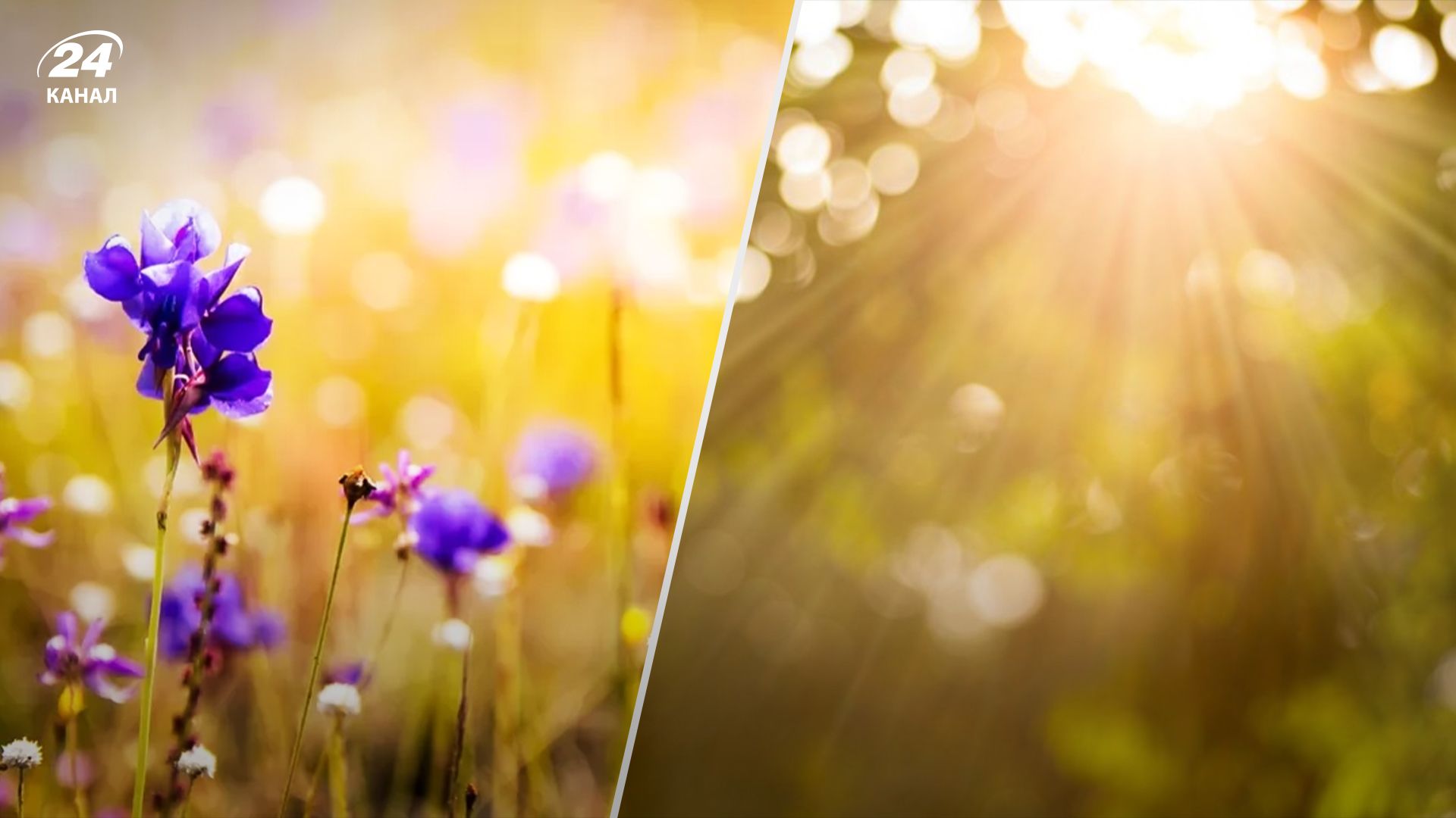 Прогноз погоды в Украине 19 июня Прогноз погоды в Украине 19 июня