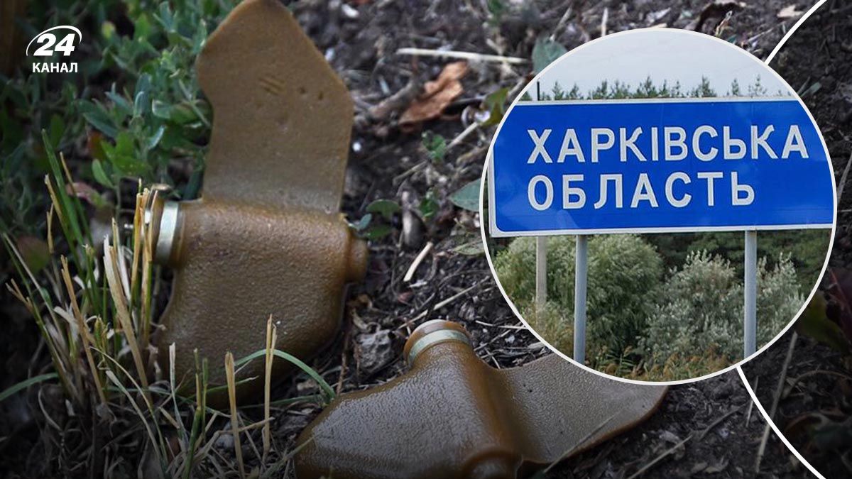 На Харьковщине в результате взрыва мины травмировался мальчик - 24 Канал