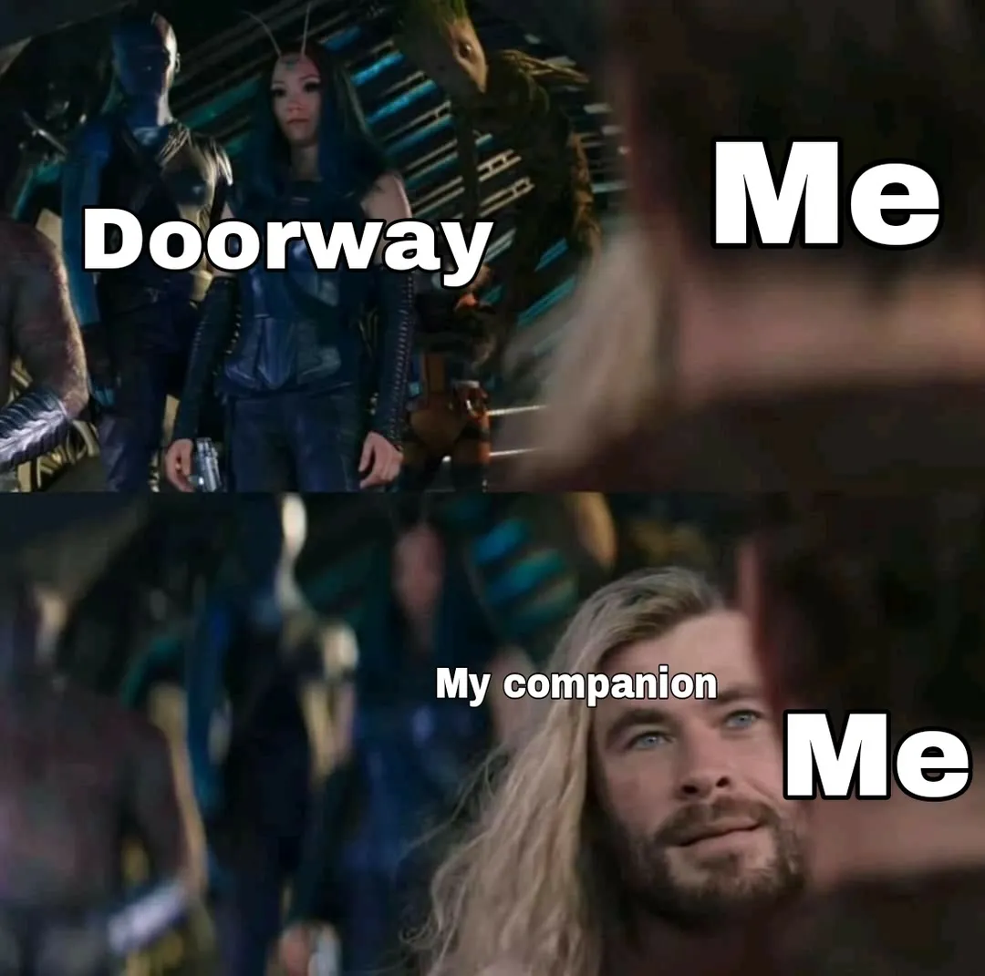 Мем о компаньонах из Скайрима Мем о компаньонах из Скайрима