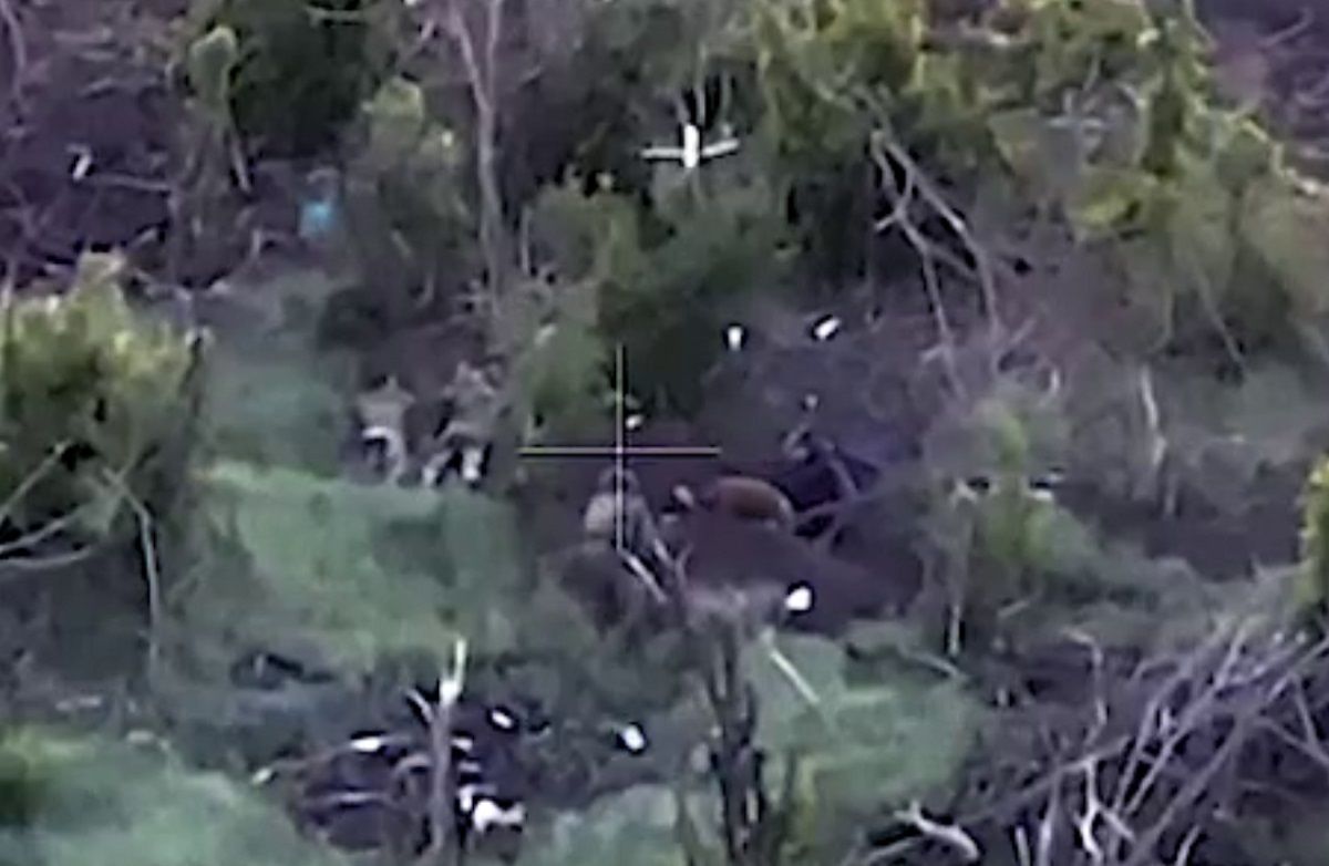 Розвідка ідентифікувала вбивць чотирьох українських військовополонених Розвідка ідентифікувала вбивць чотирьох українських військовополонених