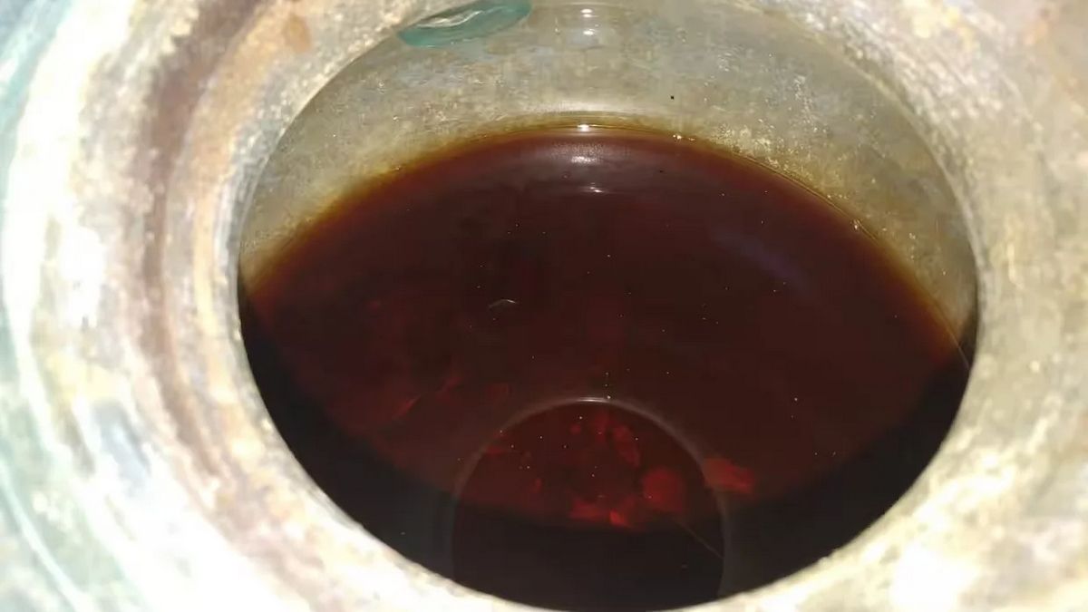 В Іспанії знайдено найстаріше вино з людськими рештками у складі В Іспанії знайдено найстаріше вино з людськими рештками у складі