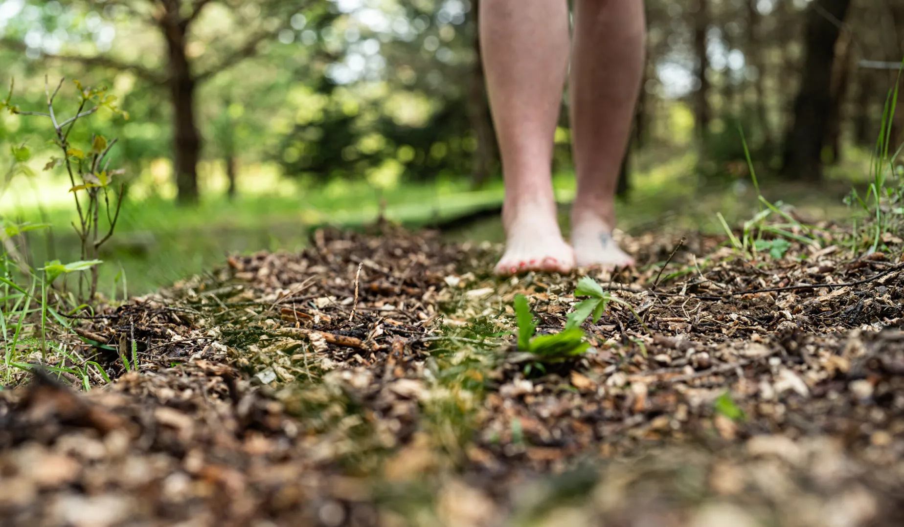 В Литві неподалік Тракая відкрили найдовшу стежку для ходьби босоніж В Литві неподалік Тракая відкрили найдовшу стежку для ходьби босоніж