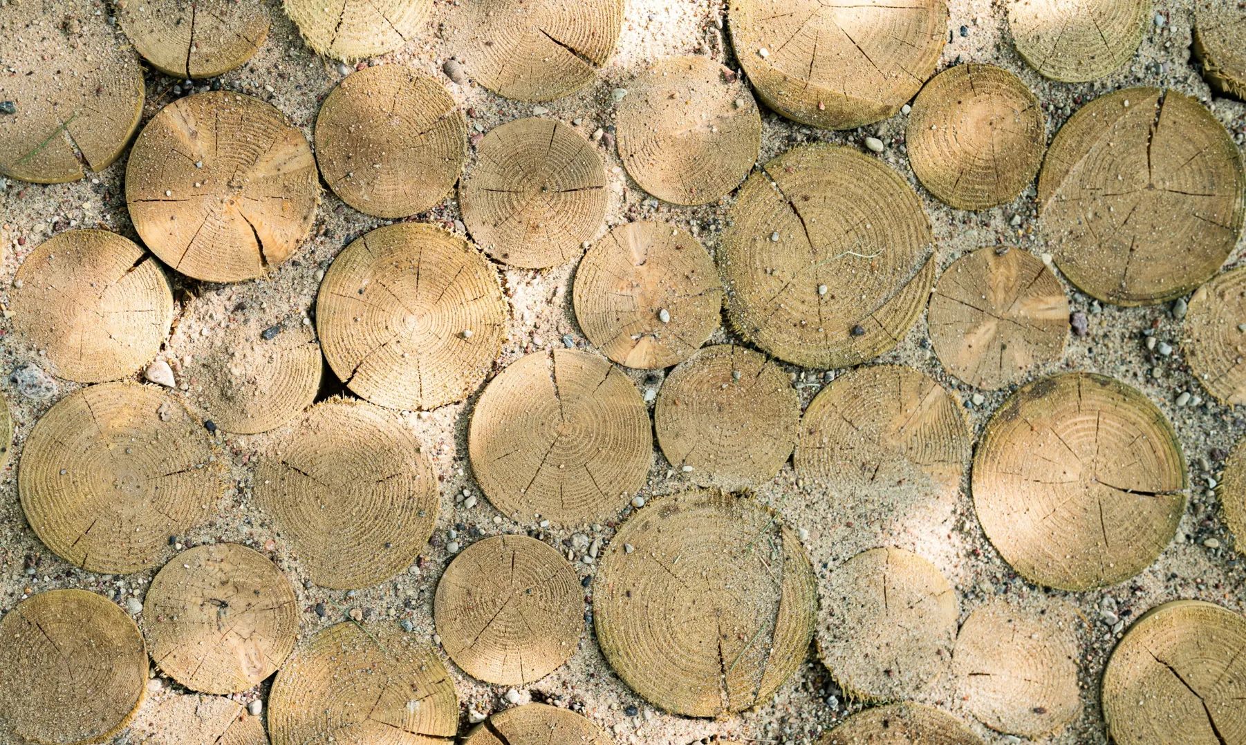 На стежці є ділянки різних поверхонь На стежці є ділянки різних поверхонь