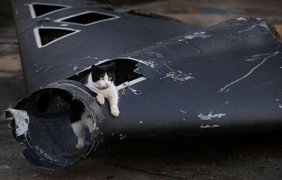 Ночная атака по России - в казармах в Ейске живут операторы Шахедов, - источники - 24 Канал Ночная атака по России - в казармах в Ейске живут операторы Шахедов, - источники - 24 Канал