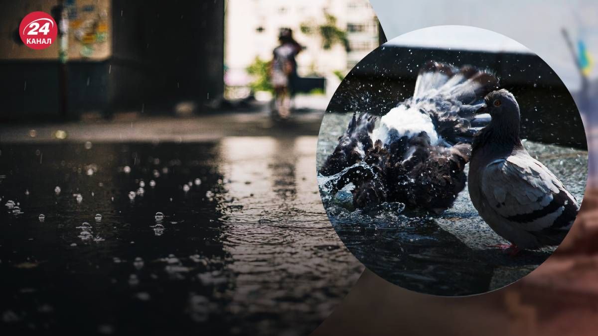 Погода на 23 июня Погода на 23 июня