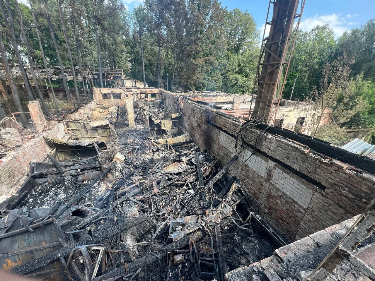 На Харьковщине экопарк попал под российский обстрел